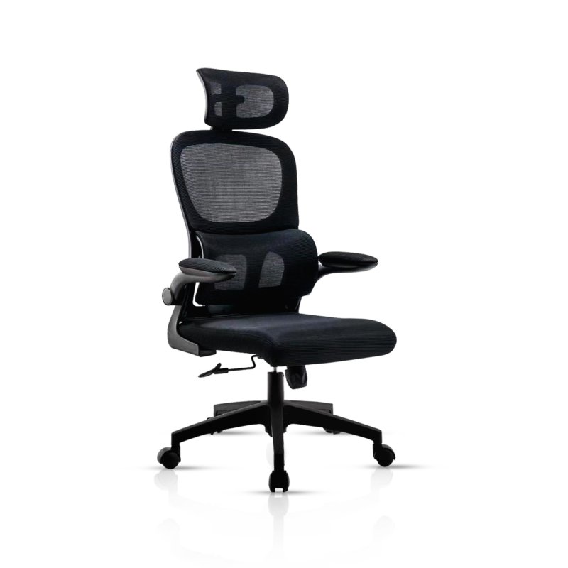 CL-30 Director Chair