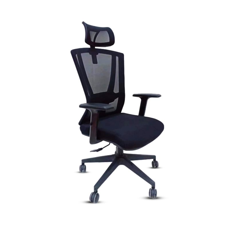 CL-585A Director Chair