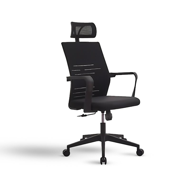 CL-903H Director Chair