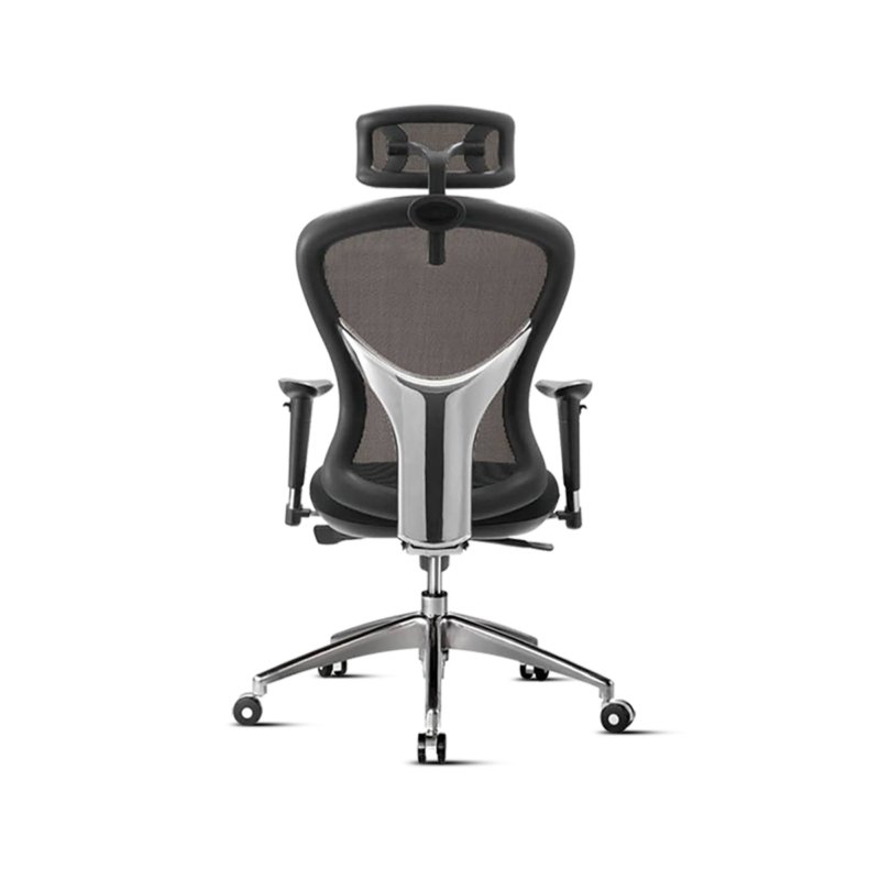 CL-Q9-11 Director Chair