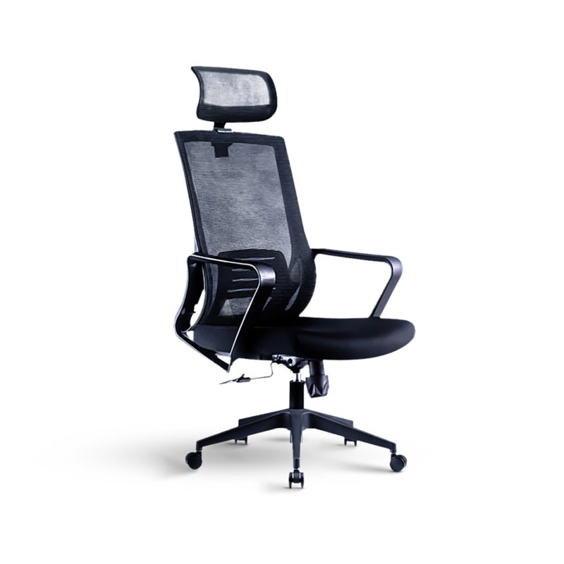 CL-T-O55 Director Chair
